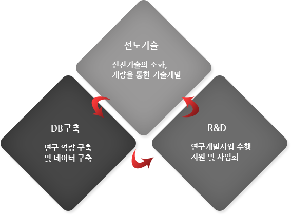 선도기술 선진기술의 소화,개량을 통한 기술개발,DB구축 연구역량구축 및 데이터구축,R&D연구개발사업 수행지원 및 사업화