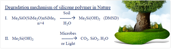Degradation mechanism of silicone polymer in Nature